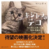 キジトラのテコ